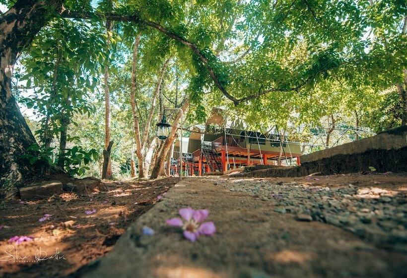 ホテル 360 Rainforest