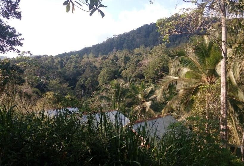 ホテル 360 Rainforest