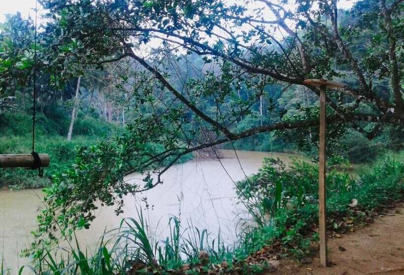 ホテル 360 Rainforest