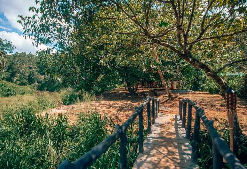 ホテル 360 Rainforest