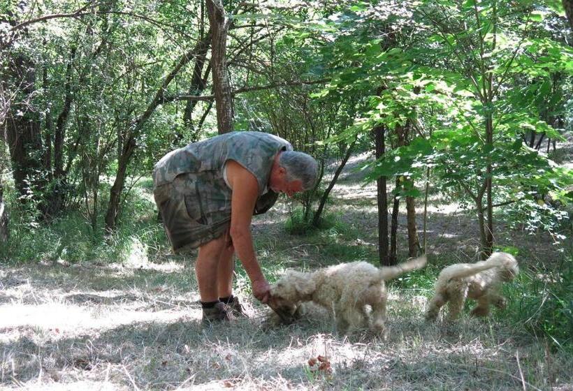 בית מלון כפרי Agriturismo Biologico Villa Rosa