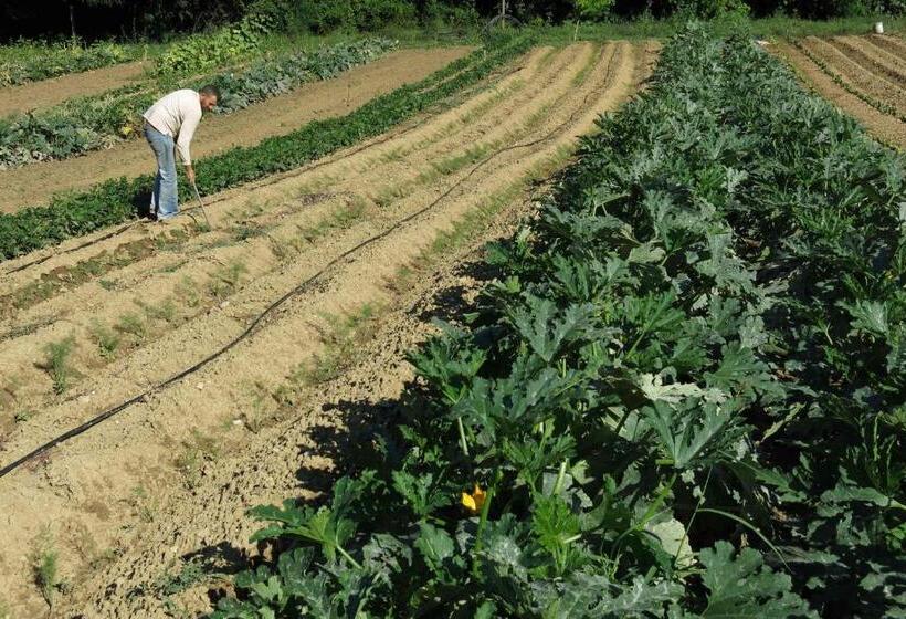 בית מלון כפרי Agriturismo Biologico Villa Rosa