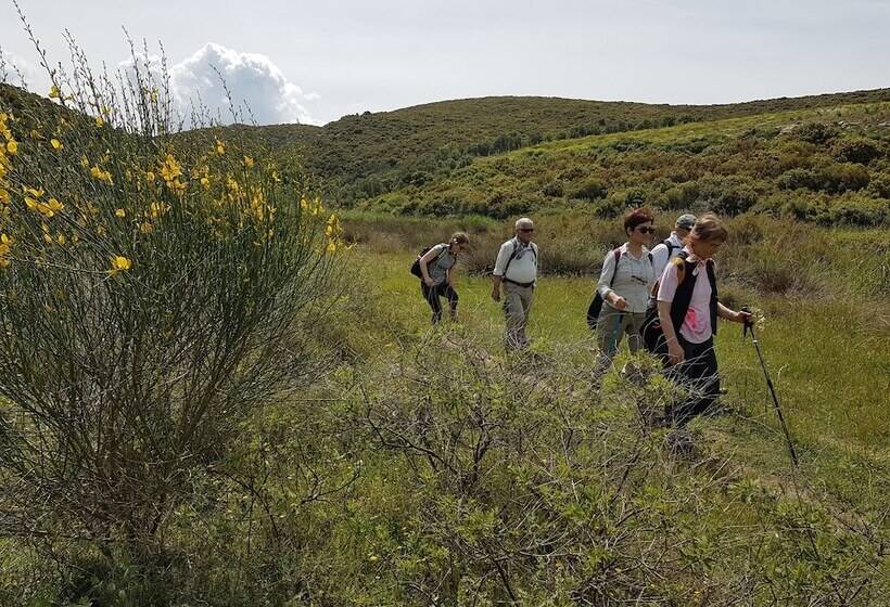 فندق Alterna Koy Evi