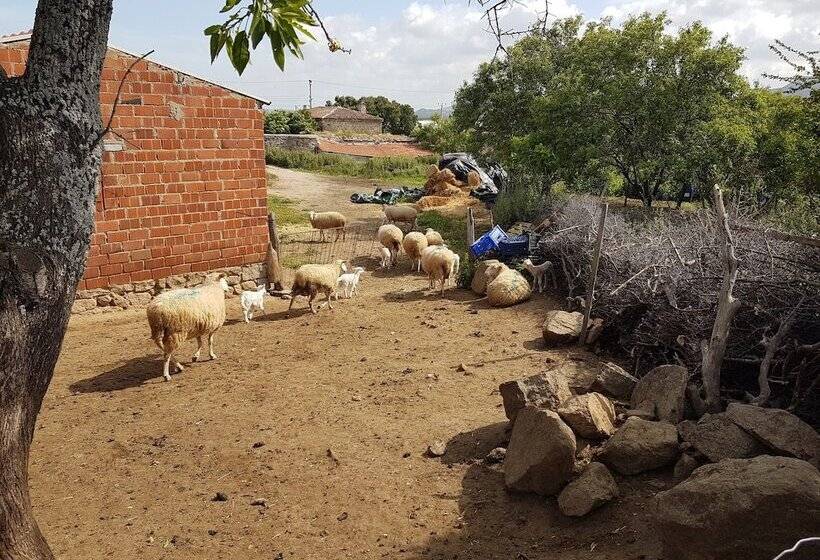 فندق Alterna Koy Evi