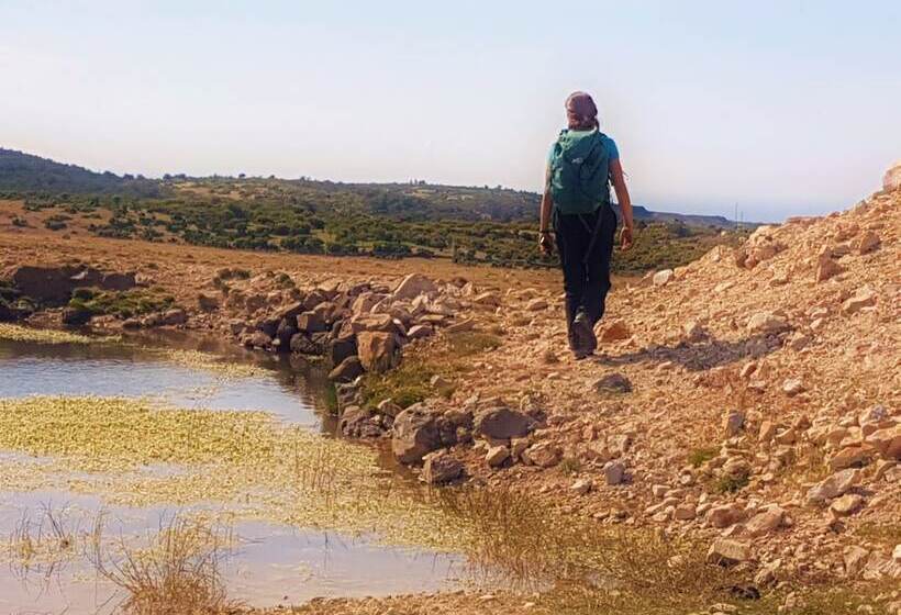 בית מלון כפרי Alterna Koy Evi