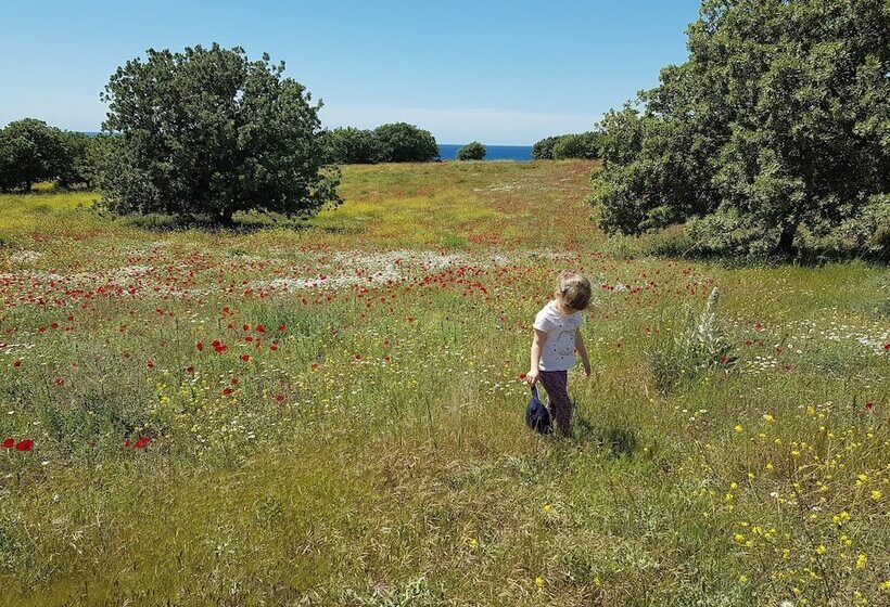 בית מלון כפרי Alterna Koy Evi