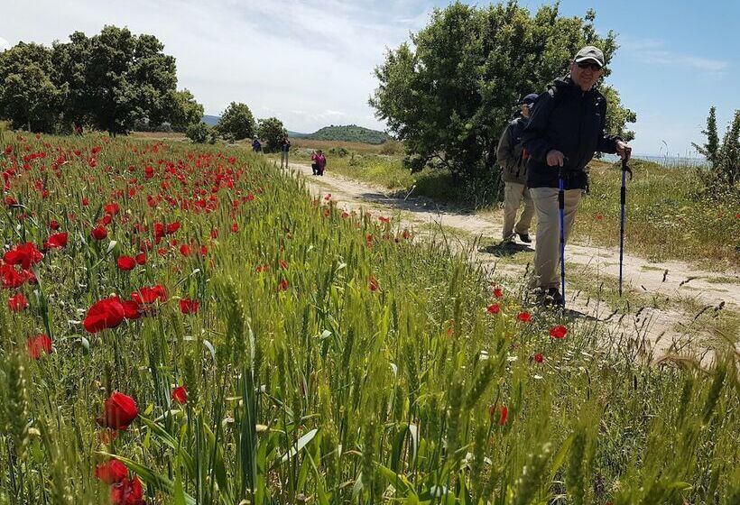 فندق Alterna Koy Evi