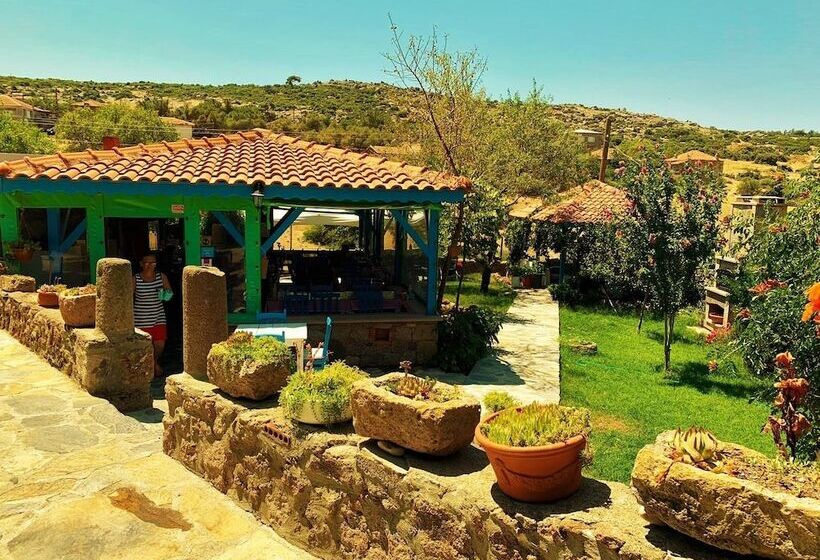 בית מלון כפרי Alterna Koy Evi