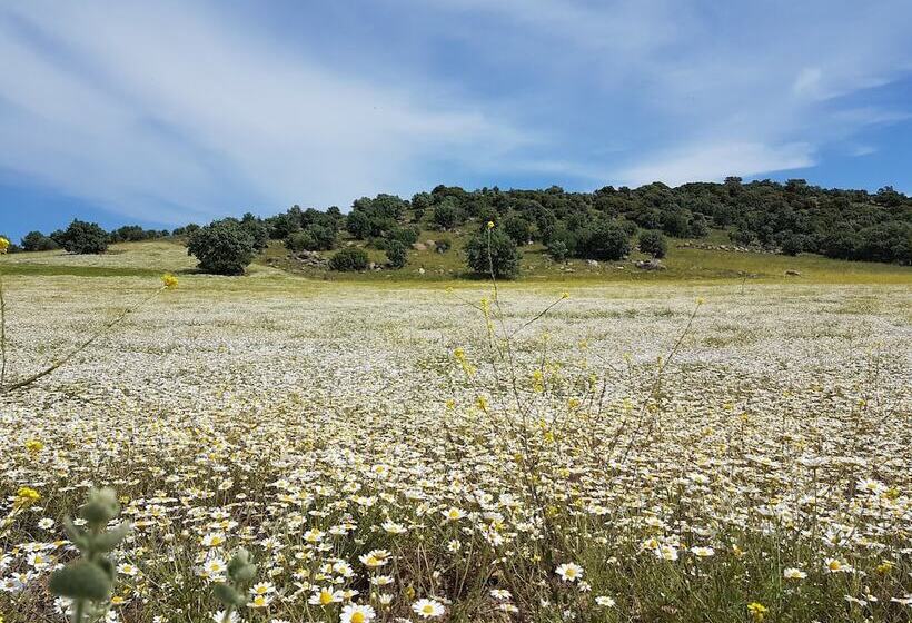 فندق Alterna Koy Evi