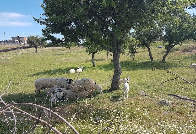 فندق Alterna Koy Evi