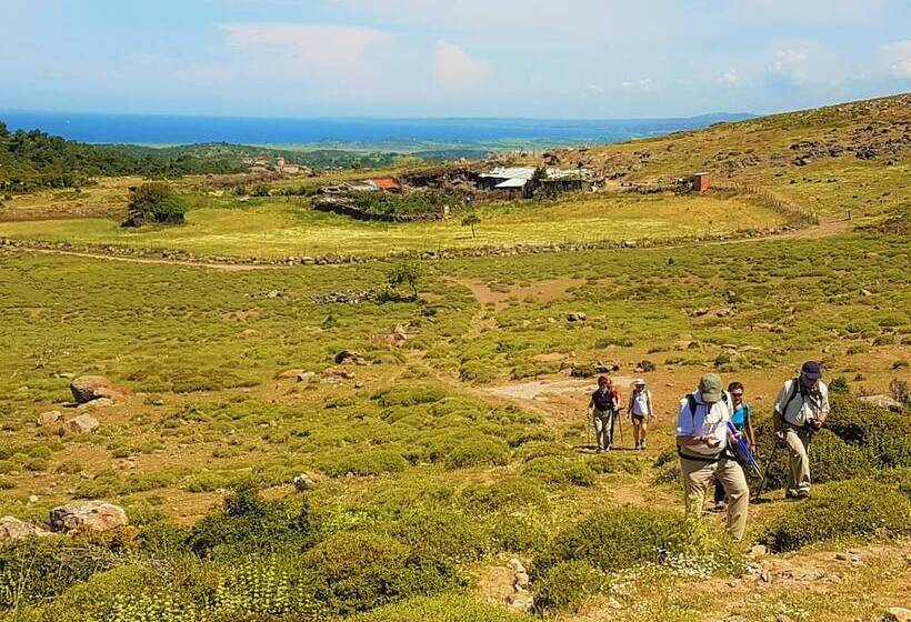 فندق Alterna Koy Evi