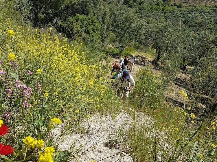 בית מלון כפרי Alterna Koy Evi