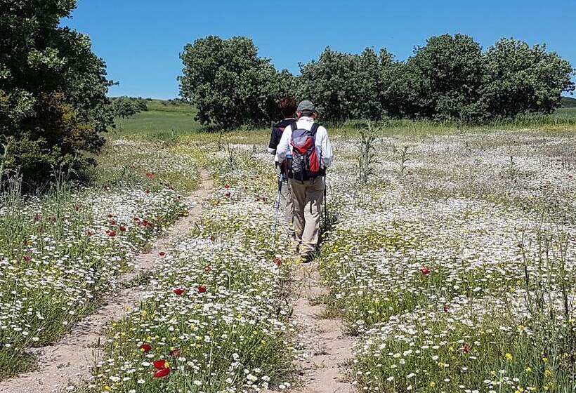 فندق Alterna Koy Evi