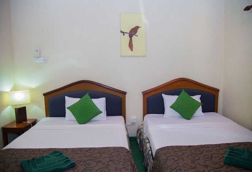 ホテル Blue Magpie Lodge