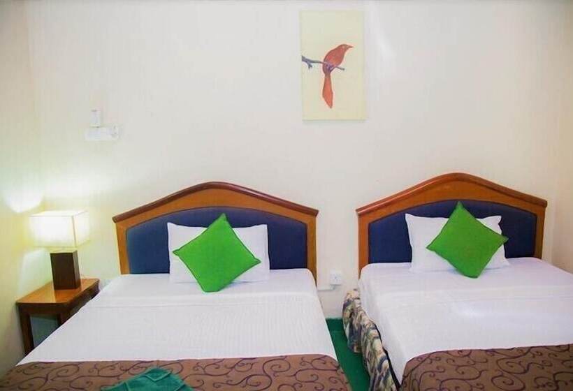 בית מלון כפרי Blue Magpie Lodge