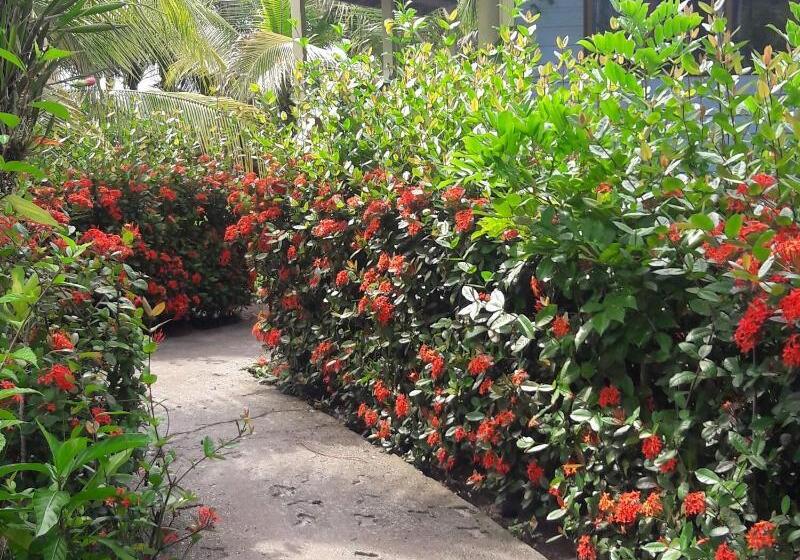 Отель Cosmic Crab Resort