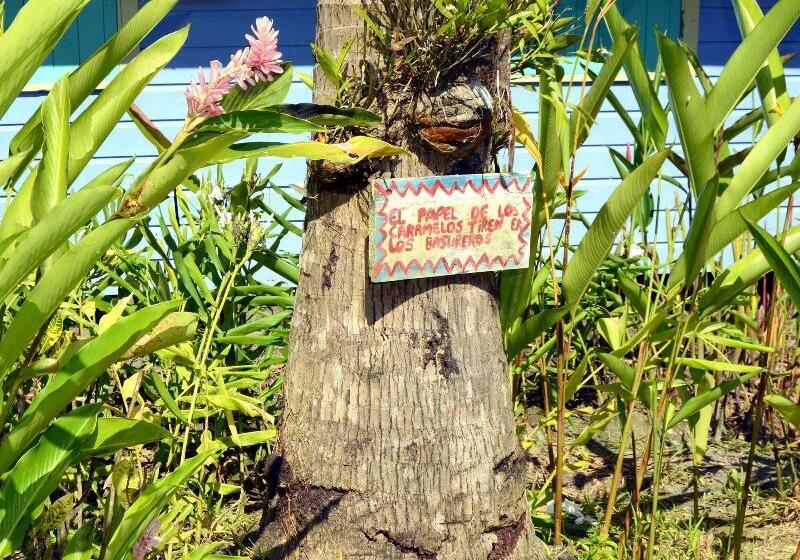 Отель Cosmic Crab Resort