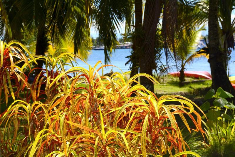 Отель Cosmic Crab Resort
