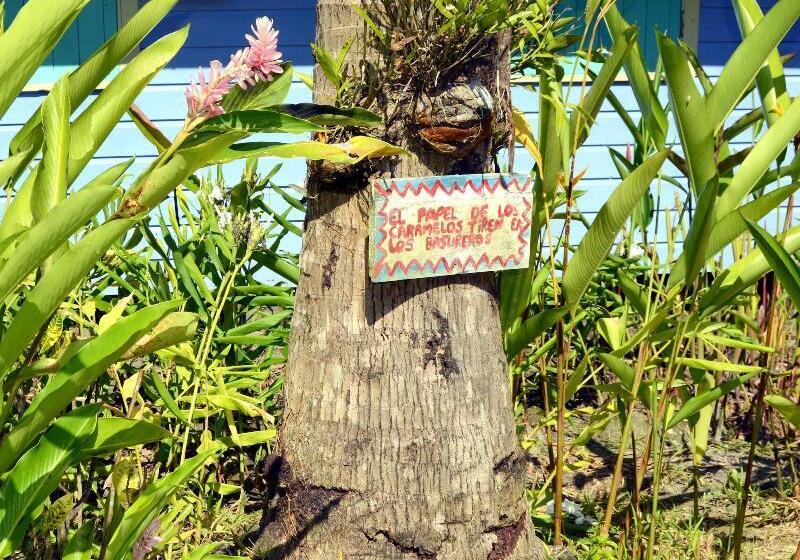 Отель Cosmic Crab Resort