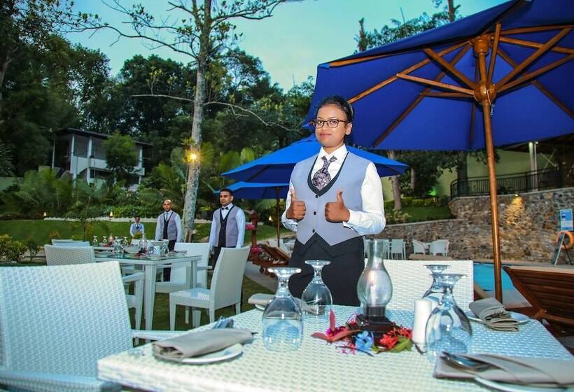 호텔 Royal Classic Resort