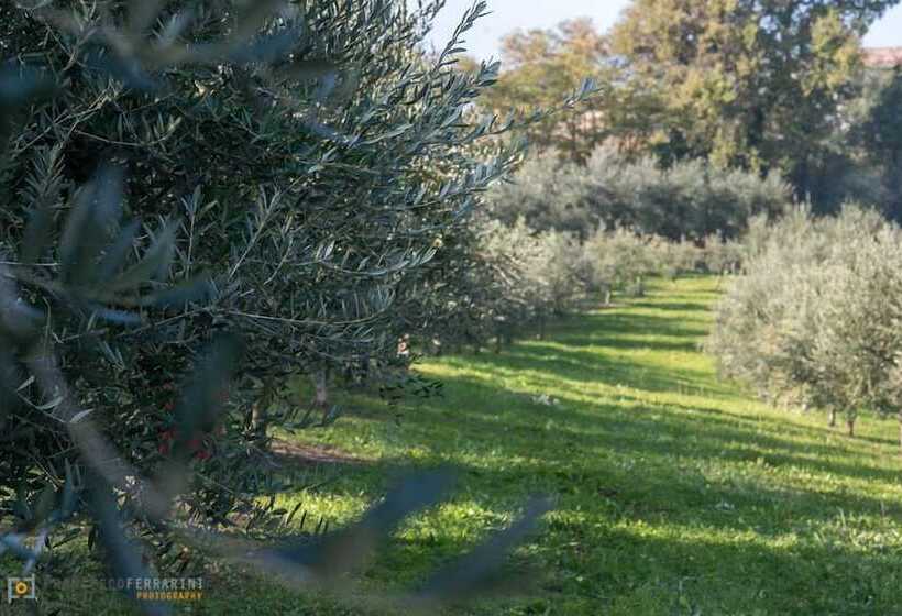 בית מלון כפרי Agriturismo Acetaia Sereni