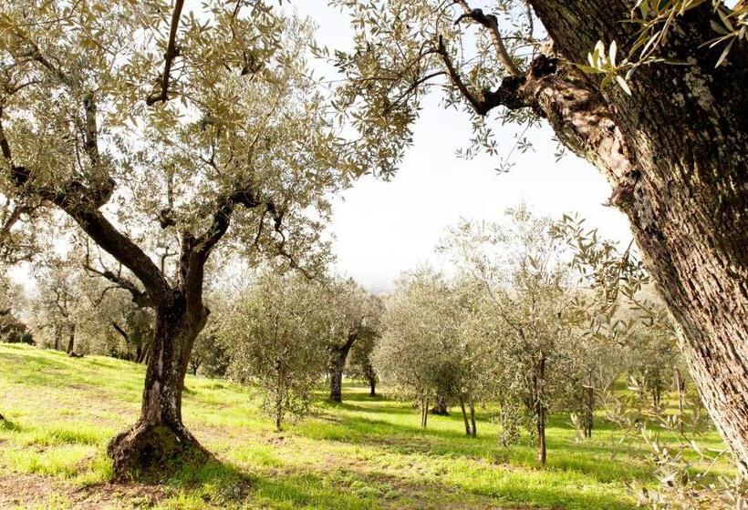 בית מלון כפרי Agriturismo Podere Rondinaio