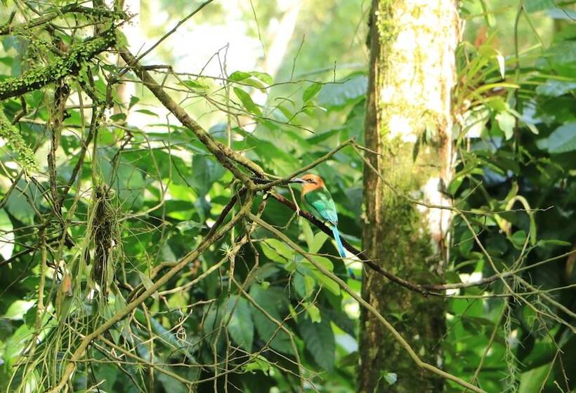 בית מלון כפרי Eden Organic Farm & Bungalows