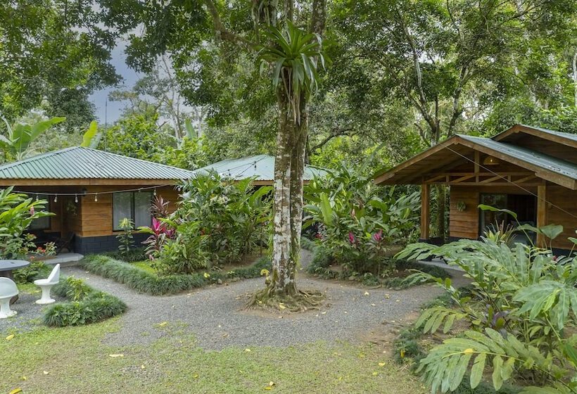 فندق ريفى Eden Organic Farm & Bungalows