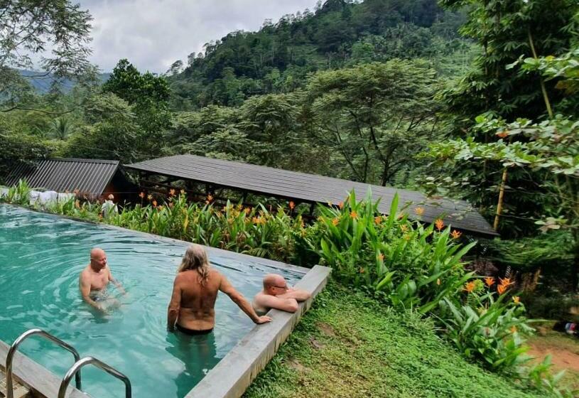 ホテル Sinharaja Forest Gate