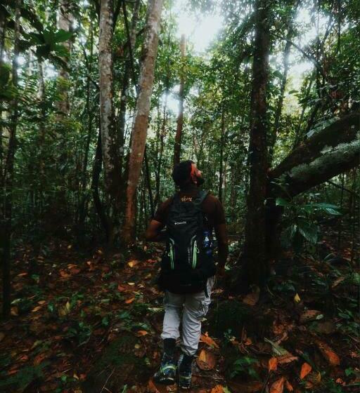 ホテル Sinharaja Forest Gate