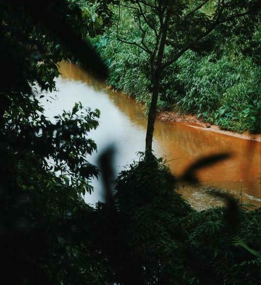 ホテル Sinharaja Forest Gate
