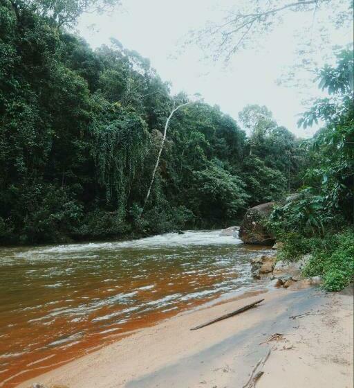 ホテル Sinharaja Forest Gate