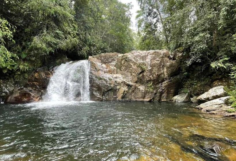 ホテル Sinharaja Forest Gate