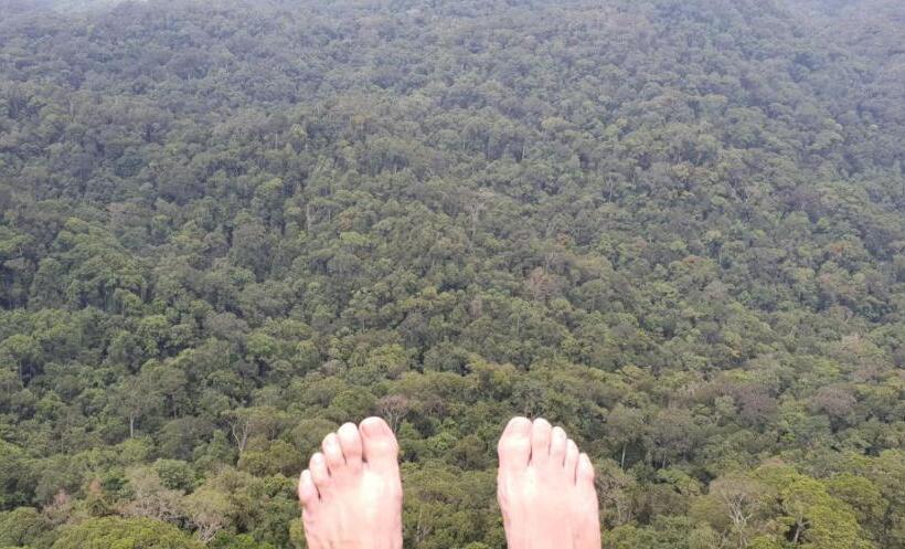 ホテル Sinharaja Forest Gate