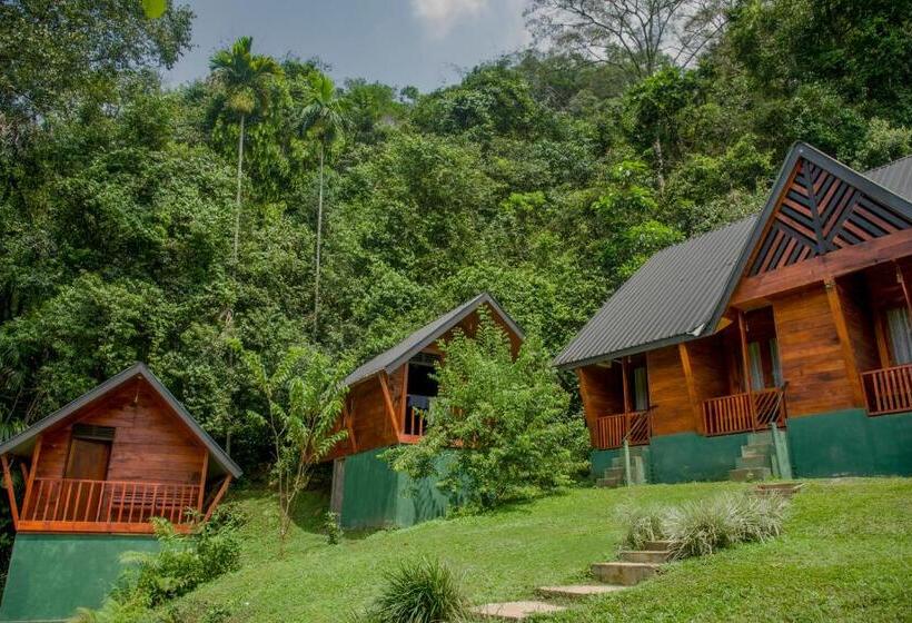 ホテル Sinharaja Forest Gate