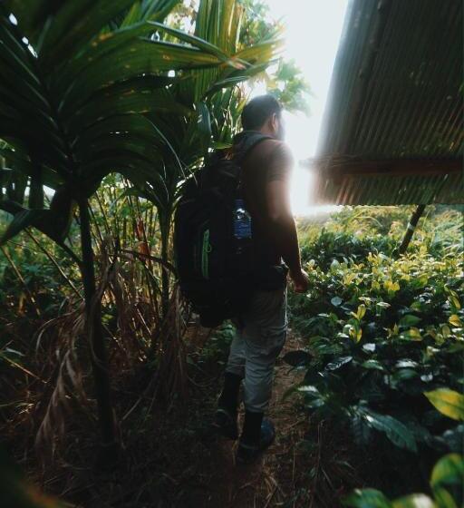 ホテル Sinharaja Forest Gate