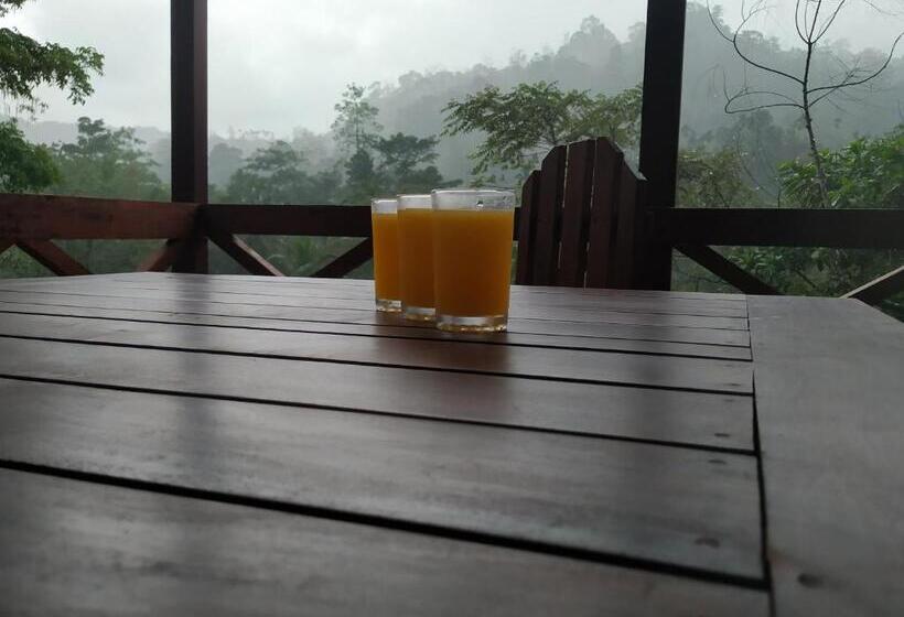 ホテル Sinharaja Forest Gate