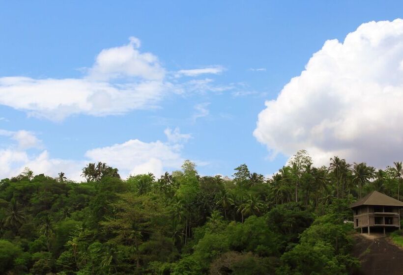 Отель Stay Rumies