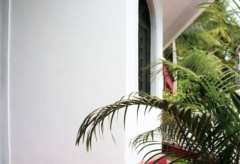 Отель Stay Rumies