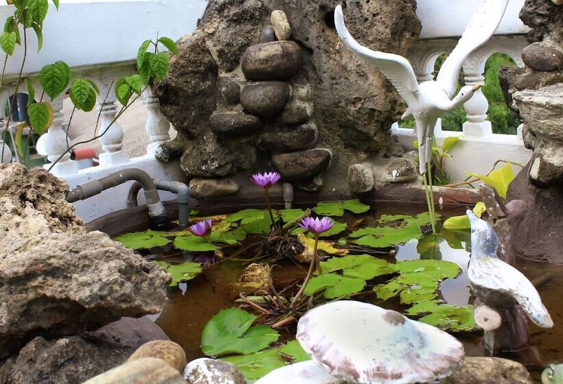 Отель Stay Rumies