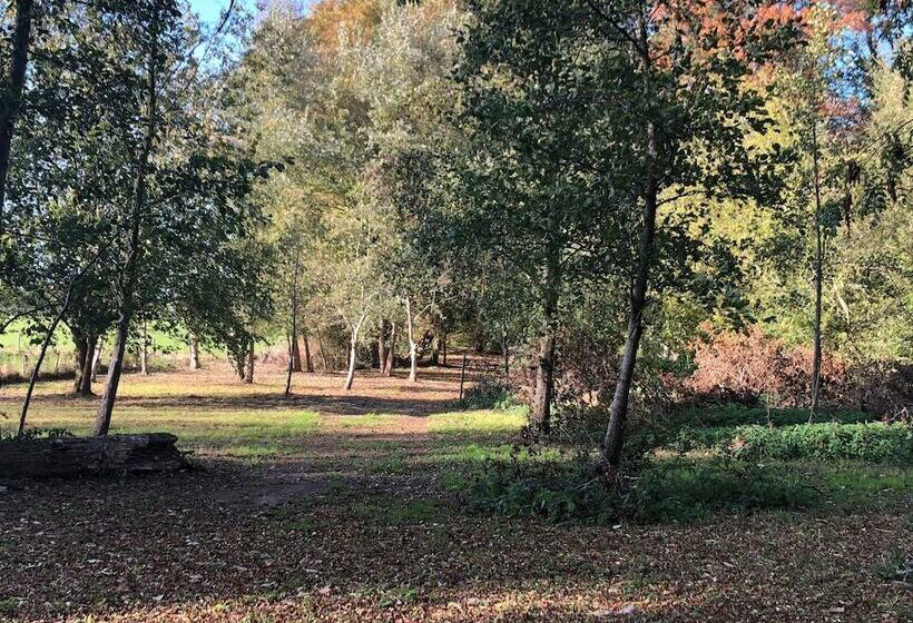 Kasteel B&b Sintbartel