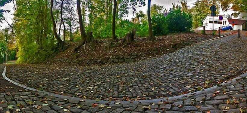 Kasteel B&b Sintbartel