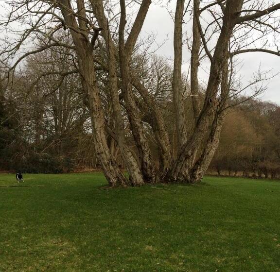 צימר øbjerggaard Bedrooms