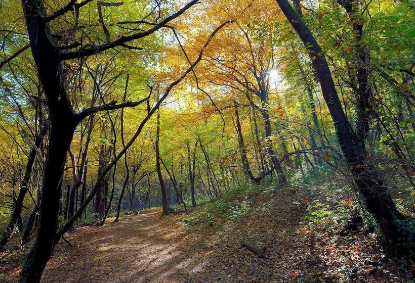 Ostello Della Gioventù Di Ciglione