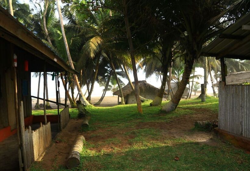 ペンション Beyin Eco Beach Camp