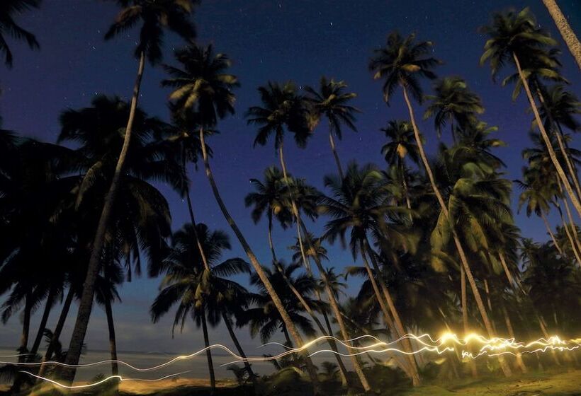 پانسیون Beyin Eco Beach Camp