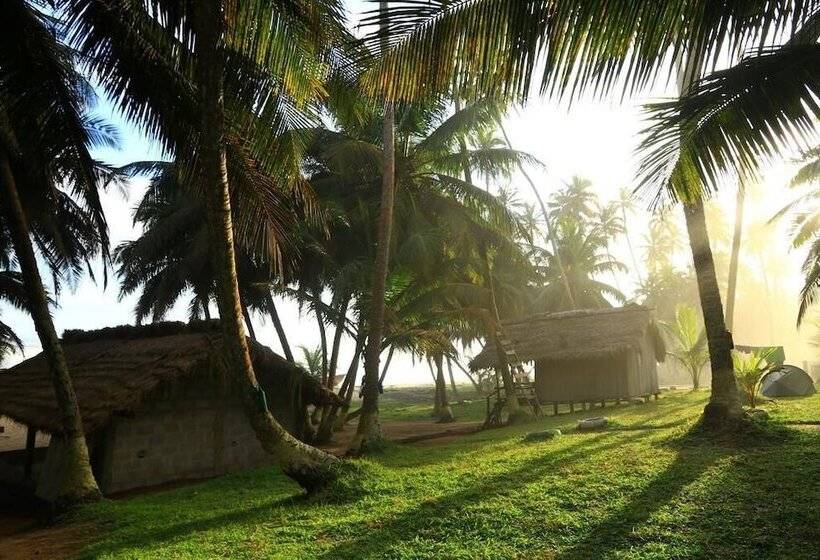 ペンション Beyin Eco Beach Camp