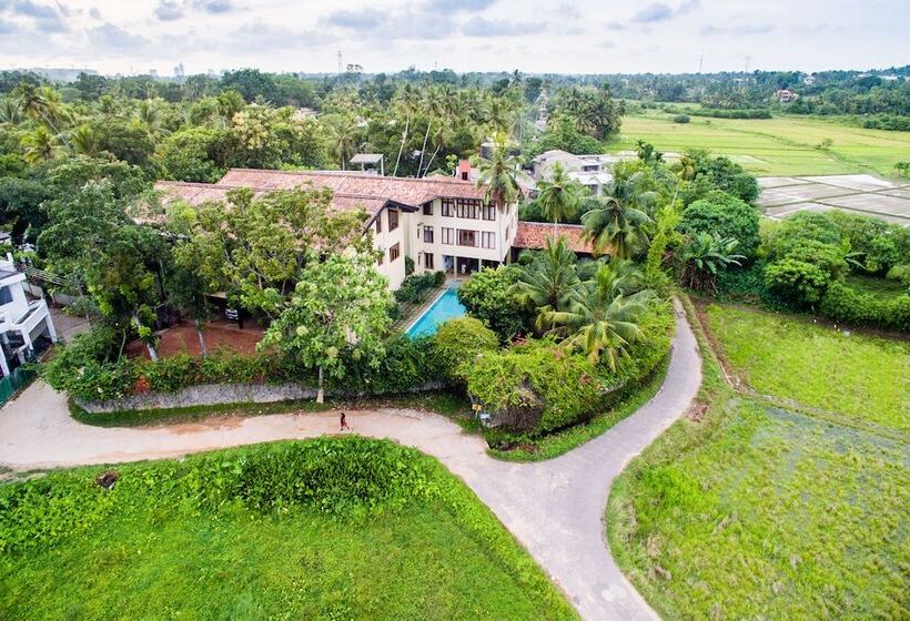 بنسيون Greenwinds Villa