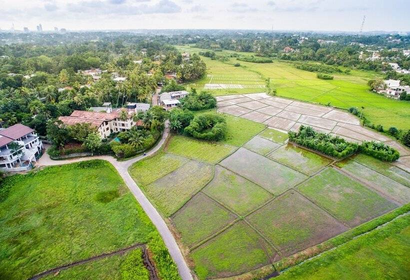 بنسيون Greenwinds Villa