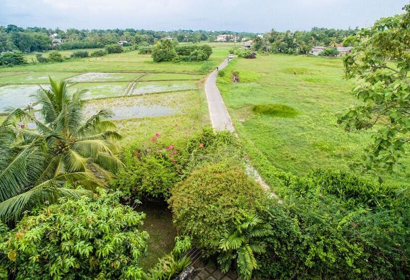 بنسيون Greenwinds Villa